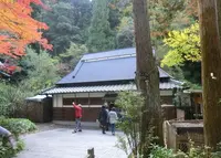 明治の森箕面国定公園の写真・動画_image_37104