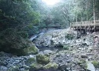 河津七滝の写真・動画_image_37247