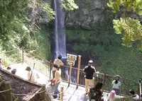 裏見の滝の写真・動画_image_38006