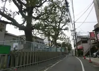茨田堤の写真・動画_image_38046