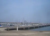 淡輪ヨットハーバーの写真・動画_image_38072