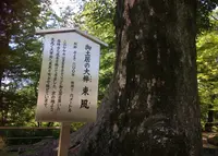 北野天満宮の写真・動画_image_38130