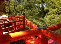 北野天満宮の写真・動画_image_38133