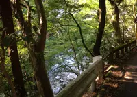 愛宕山の写真・動画_image_38666