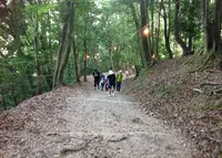 愛宕山の写真・動画_image_38672