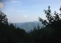 愛宕山の写真・動画_image_38674