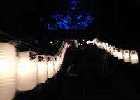 愛宕山の写真・動画_image_38682