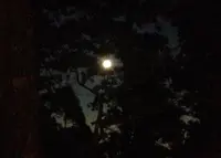 愛宕山の写真・動画_image_38688