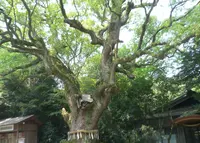 熱田神宮の写真・動画_image_38714