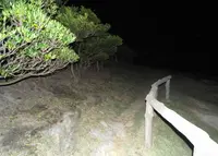 燈明堂跡の写真・動画_image_38961
