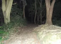 観音崎公園の写真・動画_image_38974