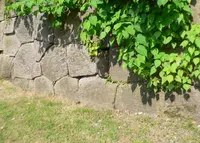 金沢城公園の写真・動画_image_38988