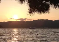 智恵の輪の写真・動画_image_40512