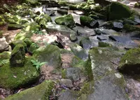 金引の滝の写真・動画_image_40513