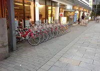 智恵の輪の写真・動画_image_40522