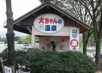 どんぐり村温泉センターの写真・動画_image_41433