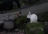 どんぐり村温泉センターの写真・動画_image_41435