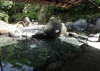 ならのさこ温泉の写真・動画_image_41596