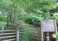 金剛山ロープウェイの写真・動画_image_41849