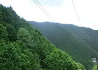 金剛山ロープウェイの写真・動画_image_41851