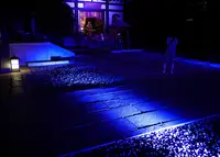 長谷寺の写真・動画_image_43296