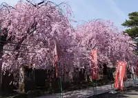 帆山寺の写真・動画_image_43534