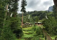 妙義神社の写真・動画_image_44018