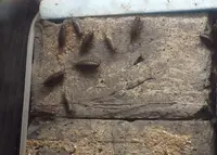 仙台うみの杜水族館の写真・動画_image_44036