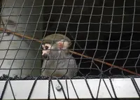 八木山動物公園フジサキの杜の写真・動画_image_44040