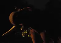 八木山動物公園フジサキの杜の写真・動画_image_44046