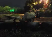 八木山動物公園フジサキの杜の写真・動画_image_44048