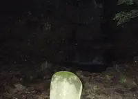 三居澤大聖不動堂の写真・動画_image_44088