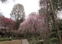 無量寺の写真・動画_image_45110