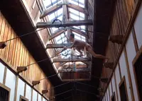 博物館網走監獄の写真・動画_image_45952