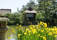 中津万象園・丸亀美術館の写真・動画_image_46330