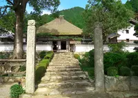 清住コスモス畑の写真・動画_image_46426