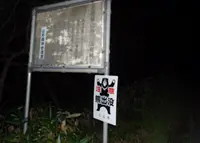滝不動の写真・動画_image_46714