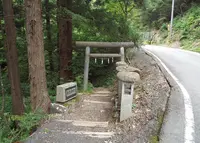 滝不動の写真・動画_image_46716
