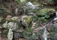 滝不動の写真・動画_image_46718