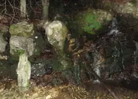 滝不動の写真・動画_image_46728