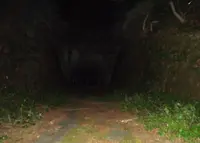 旧加茂坂トンネルの写真・動画_image_46932