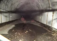 旧加茂坂トンネルの写真・動画_image_46935