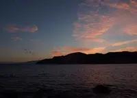 白山島の写真・動画_image_46939