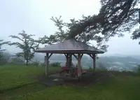 一本松公園の写真・動画_image_47190