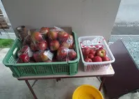 一本松公園の写真・動画_image_47192