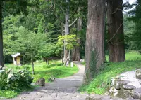 白山中居神社の写真・動画_image_47325