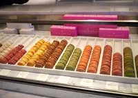 グラモウディーズ 岡本店の写真・動画_image_49905