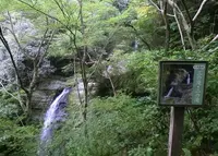 牛滝山の写真・動画_image_49935