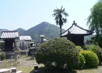 妙雲寺の写真・動画_image_50019