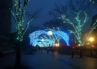 中之島の写真・動画_image_51247